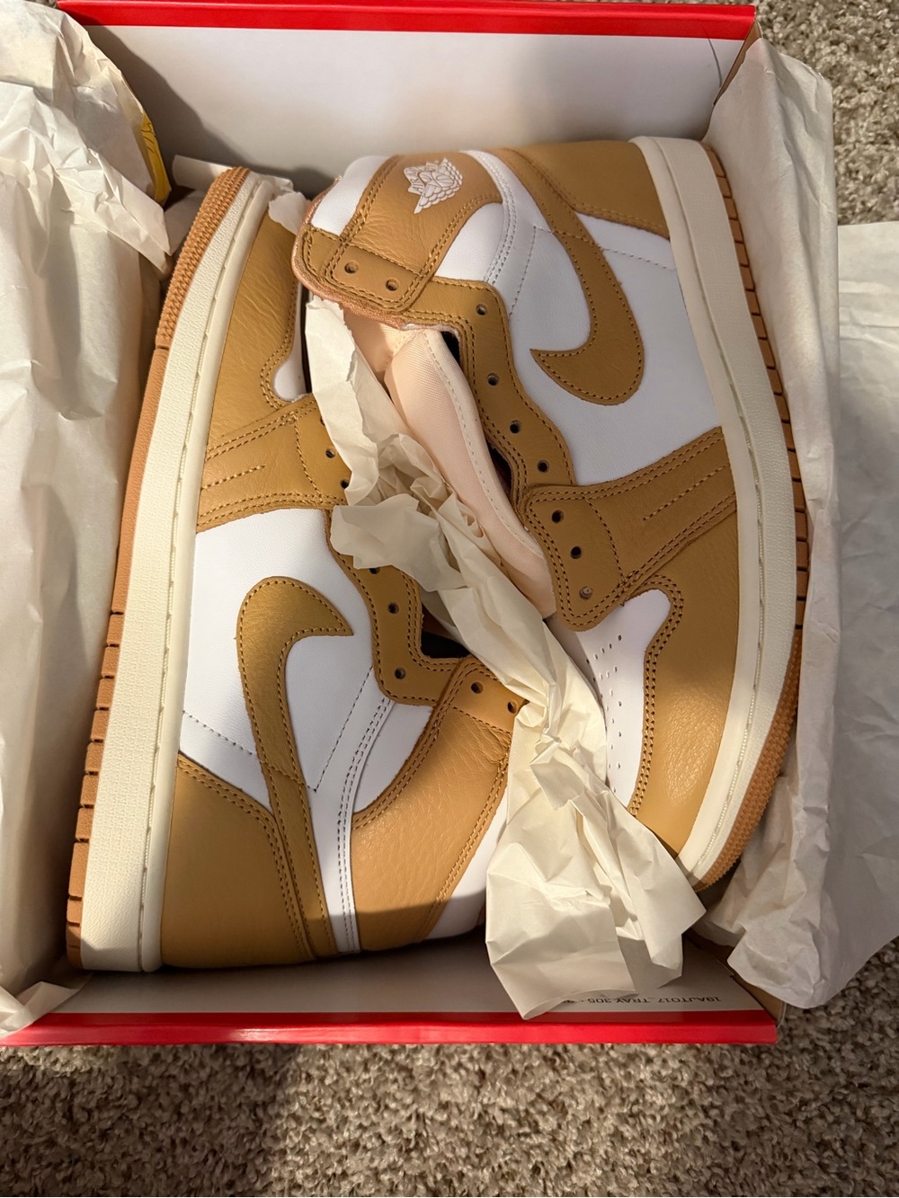 Woman’s Air Jordan 1 Retro High OG